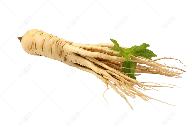 人参新鲜花旗参党参中医药材草本植物保健养生药草素材