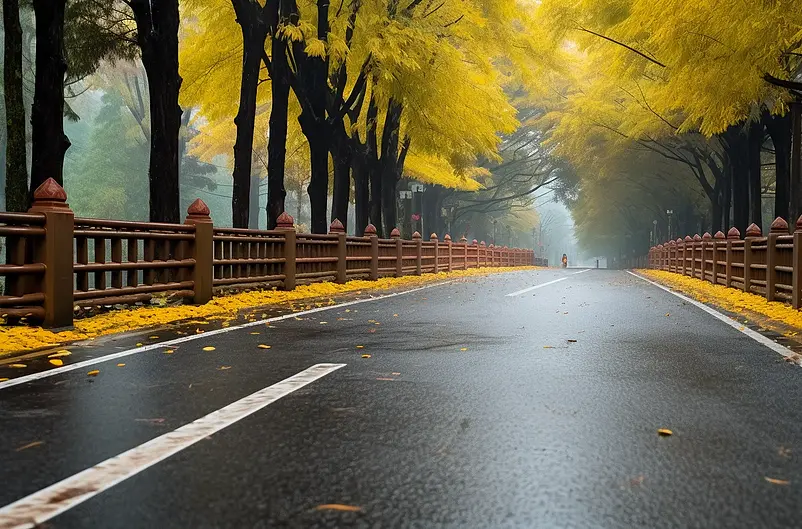 道路公路汽车交通设计