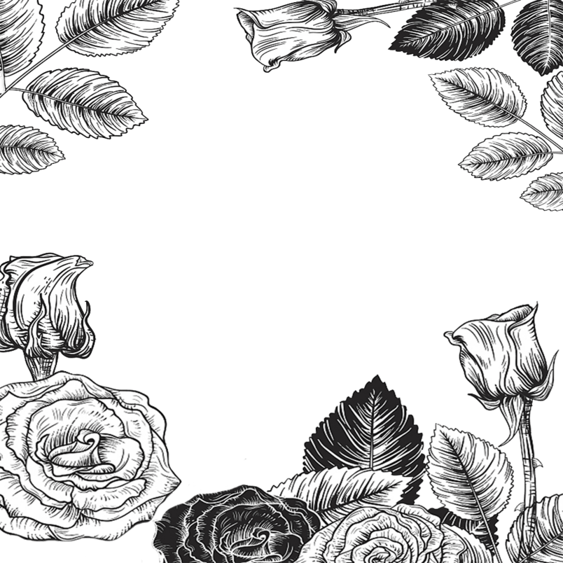 手绘线描花朵边框