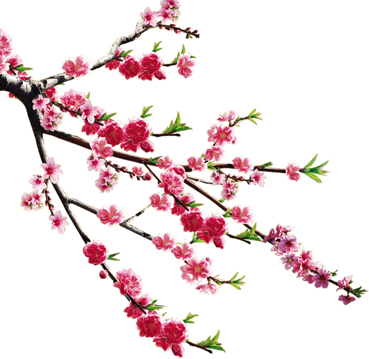 中国风水墨梅花山水png