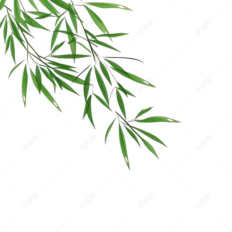 春天飘扬的绿色树叶绿叶
