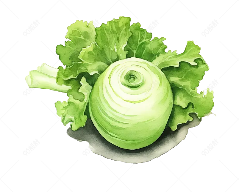 绿色手绘风大头菜蔬菜食品元素
