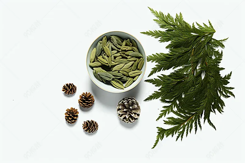 绿茶（翠芽）