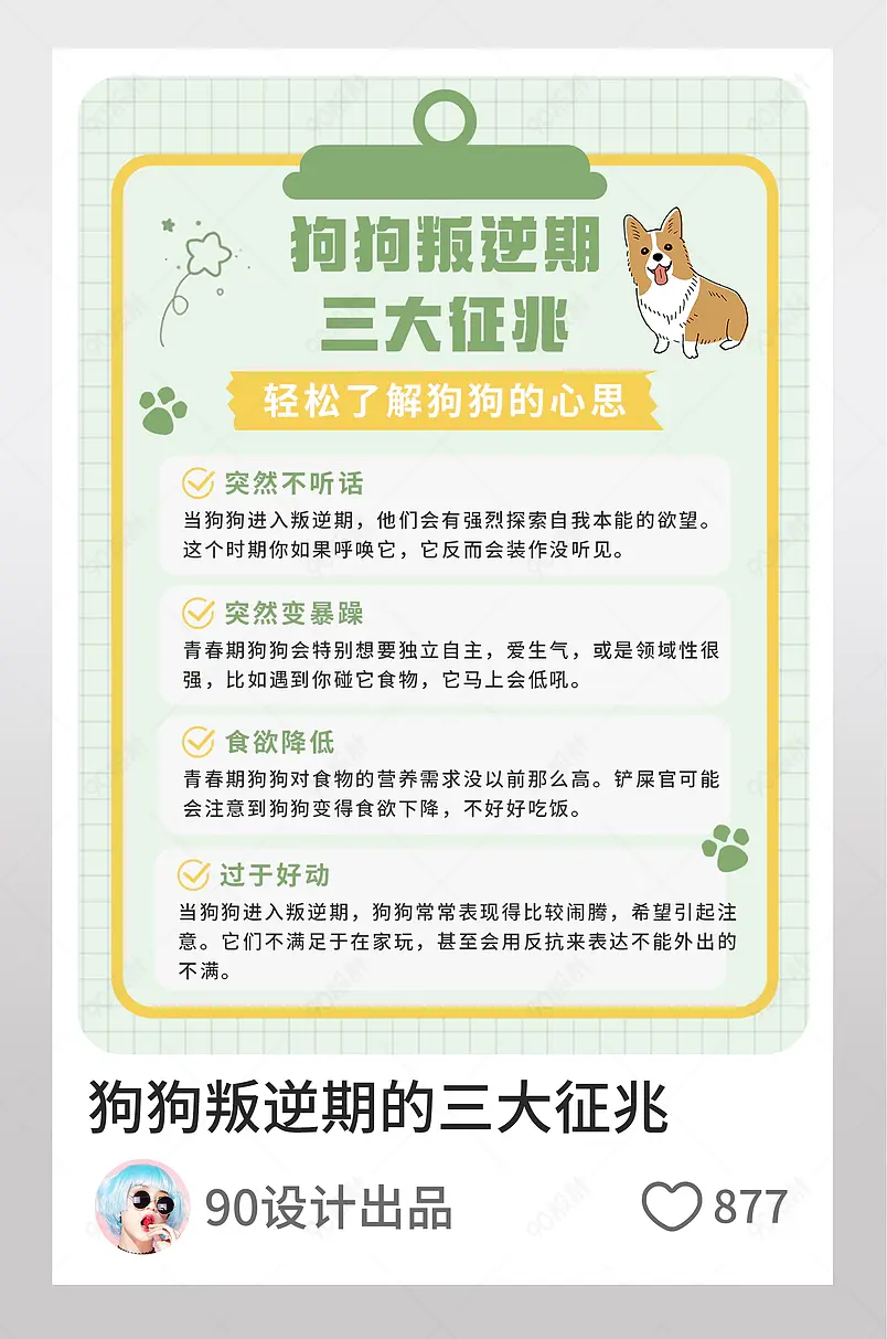 狗狗叛逆期的征兆宠物博主小红书页内配图