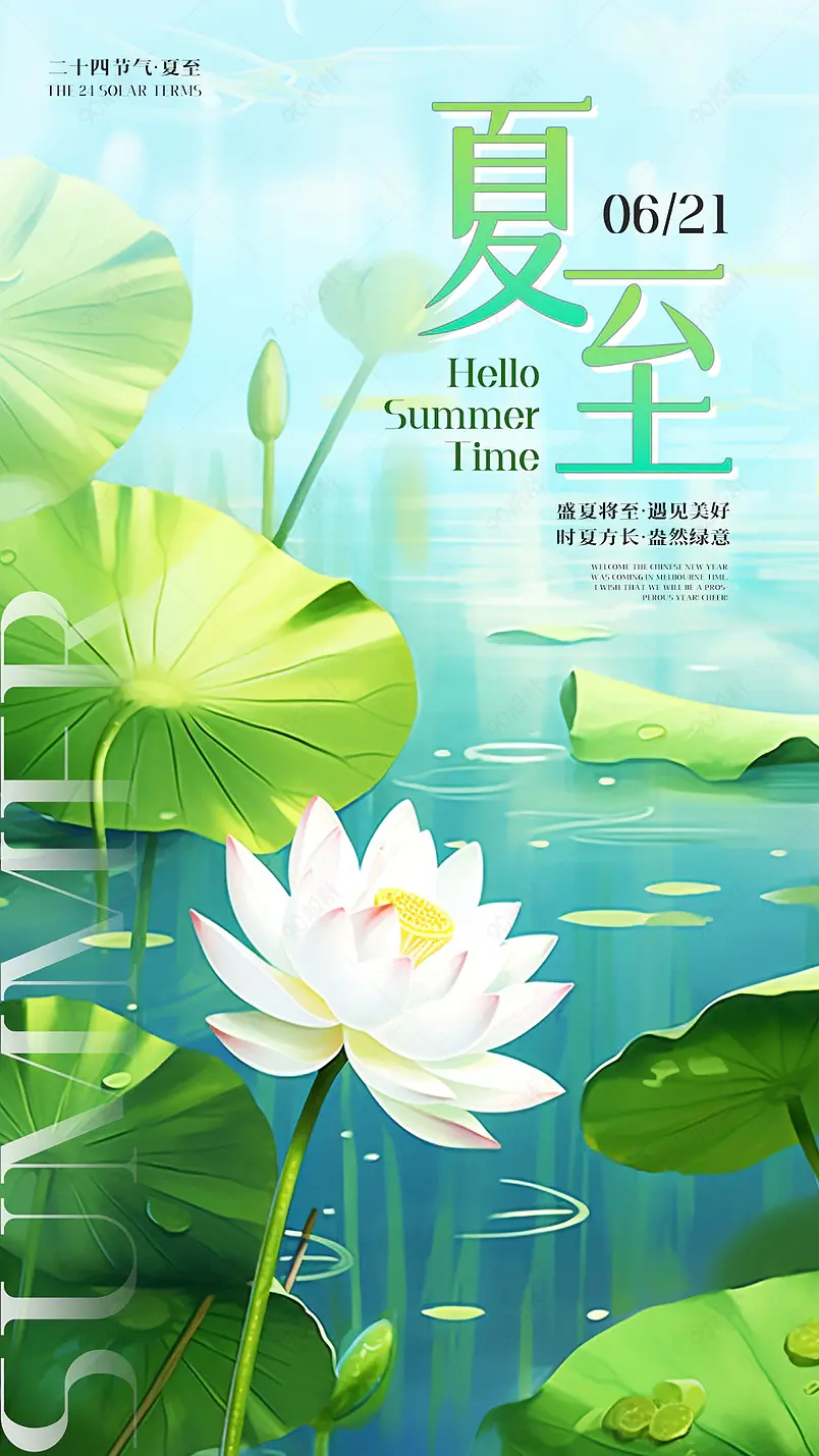 卡通手绘插画荷花荷叶夏至节气海报