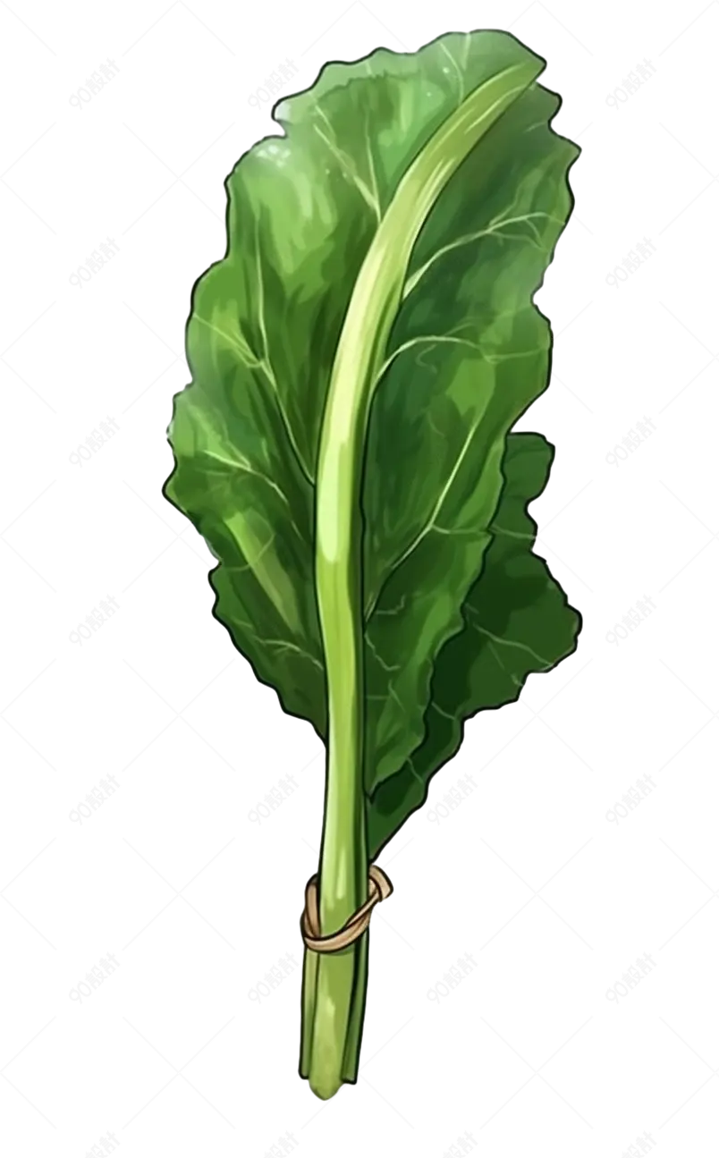 有机绿色蔬菜元素
