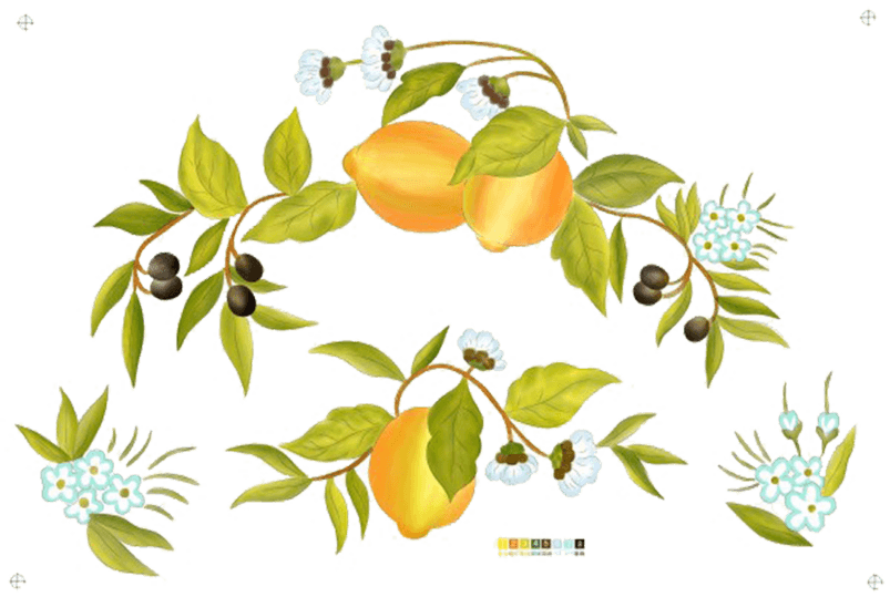 芒果枝叶