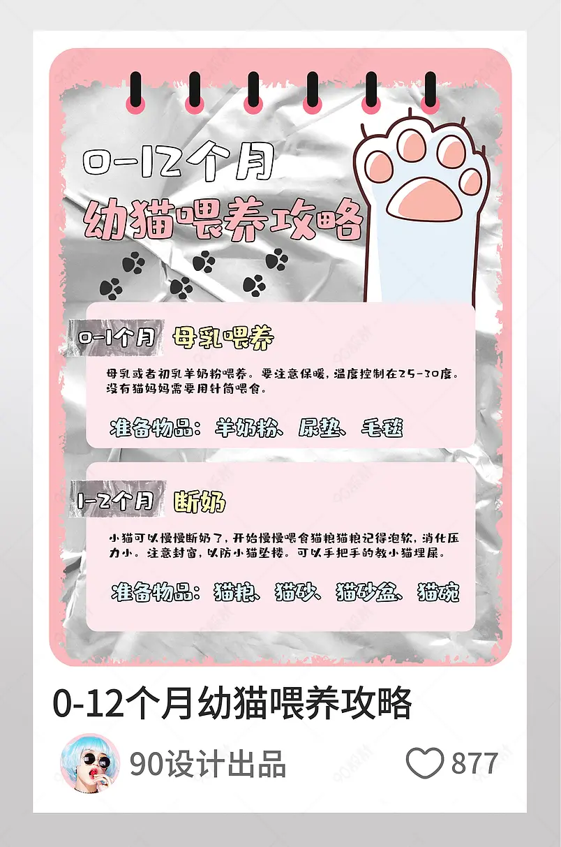 小红书0-12个月幼猫喂养攻略文字排版