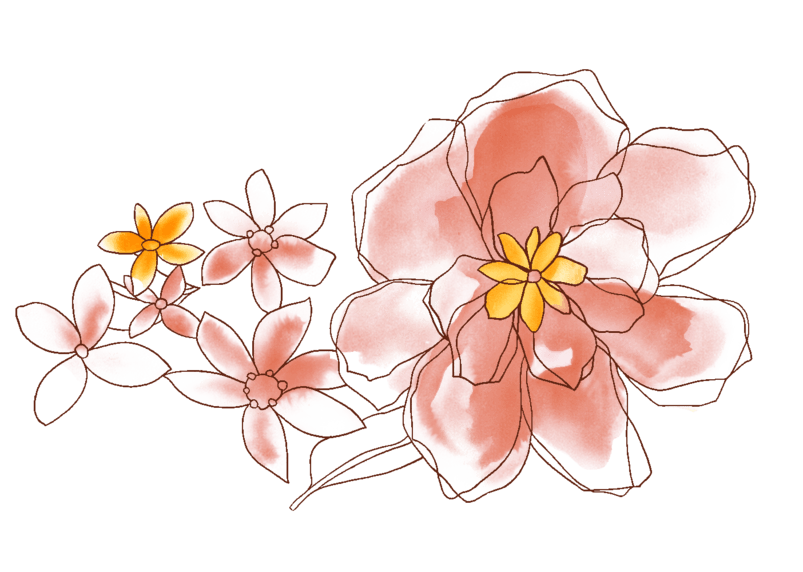 线条描边的小红花