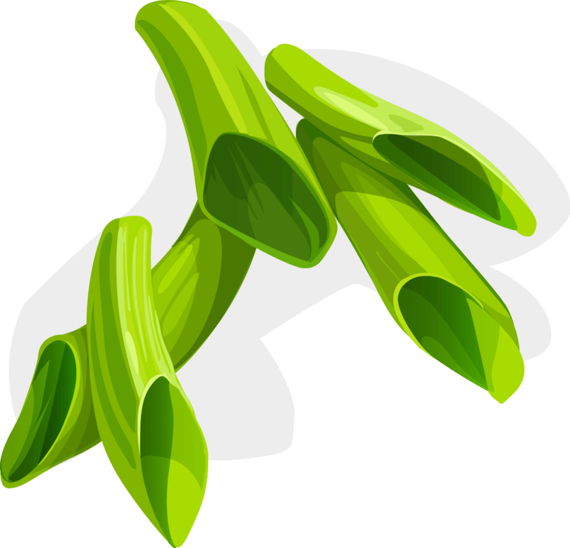 矢量葱片