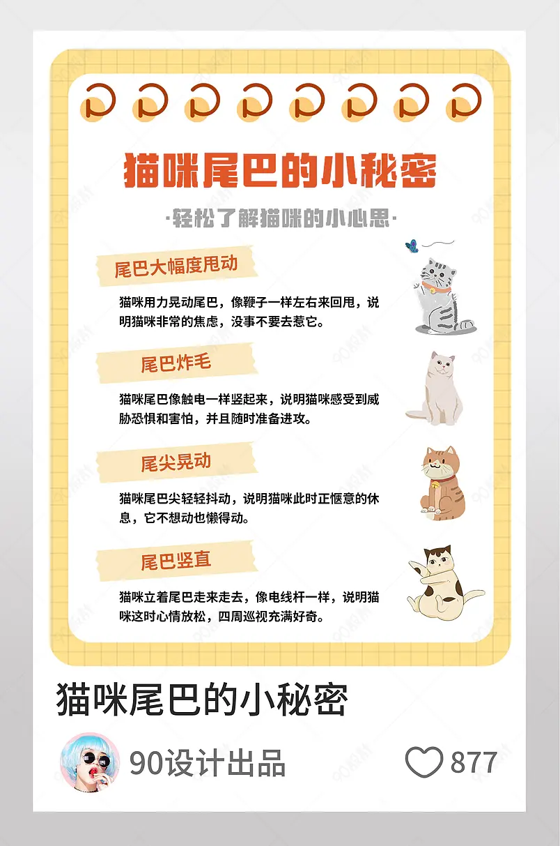 猫咪尾巴的秘密宠物博主小红书页内配图