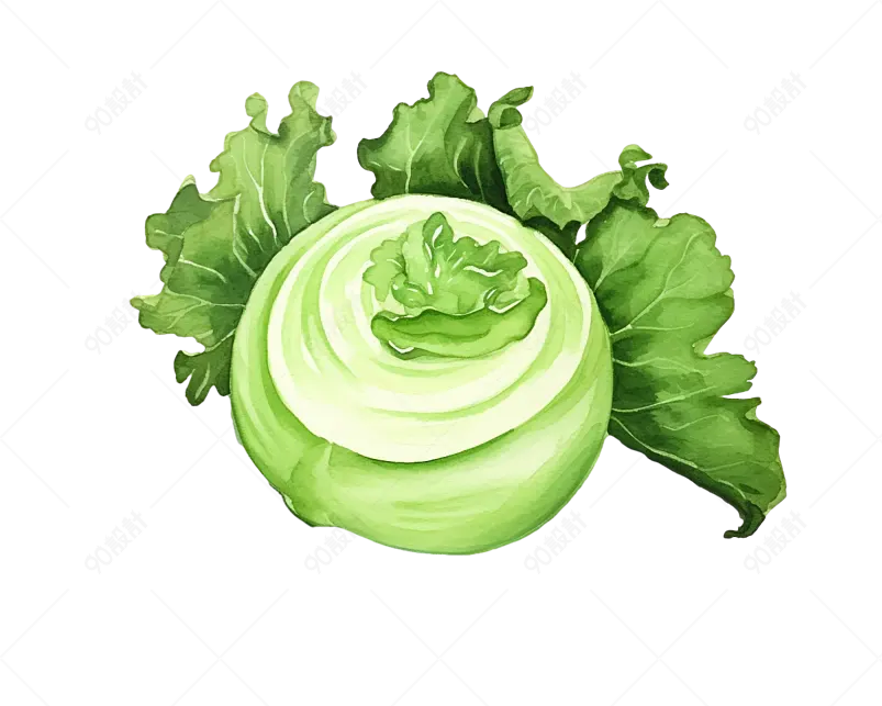 绿色手绘风大头菜蔬菜食品元素
