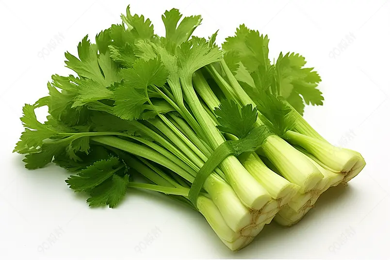 新鲜芹菜图片