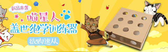 夏季手绘画风宠物猫玩具钻展psd模板