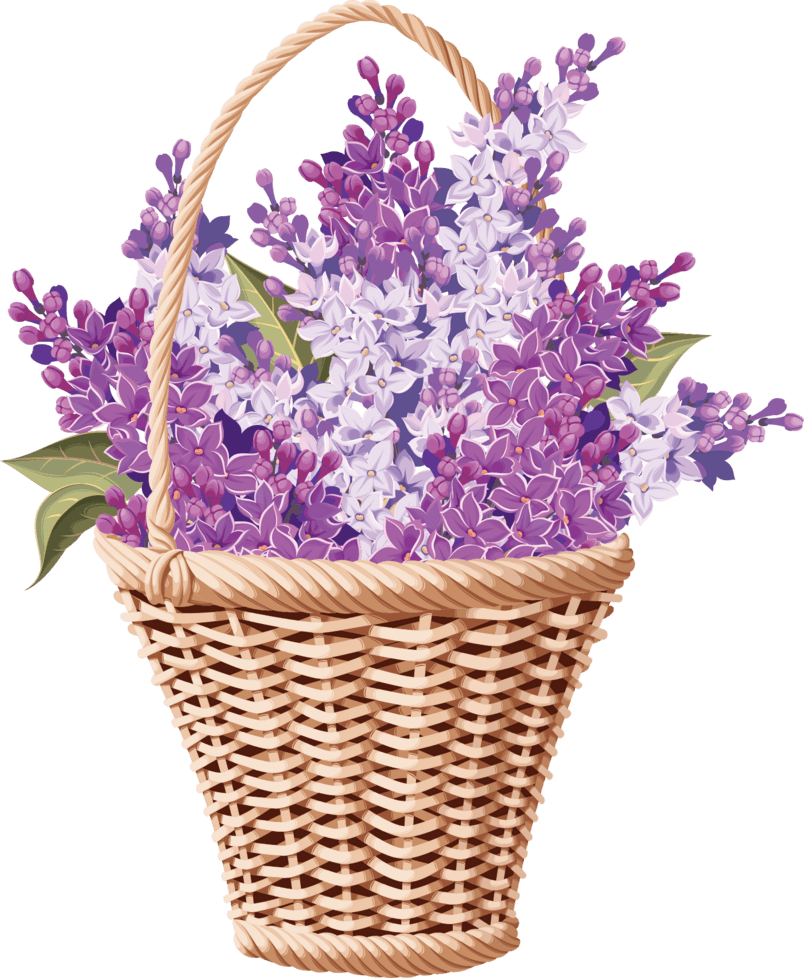 矢量图花篮