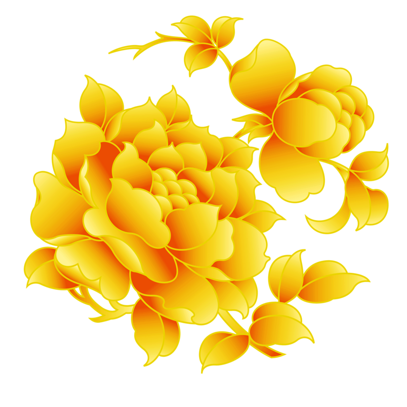 牡丹花开富贵牡丹PNG