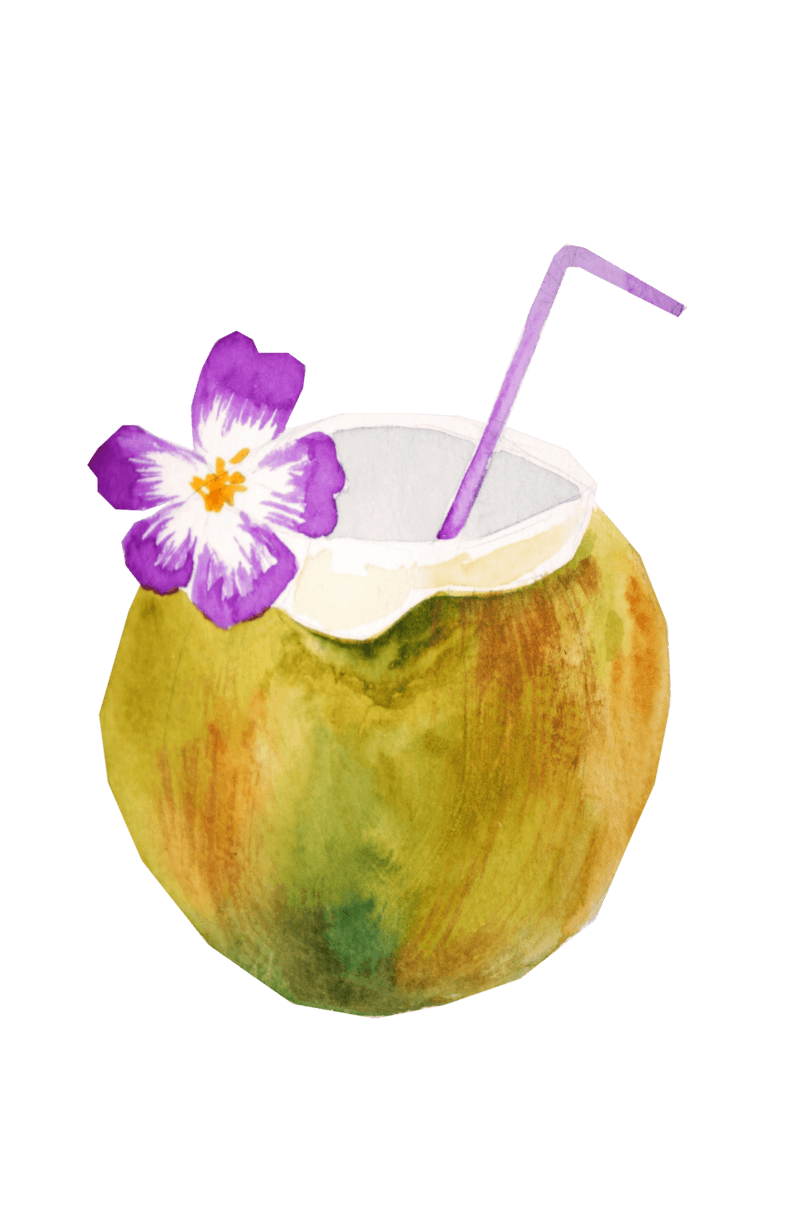 卡通水彩夏日椰果