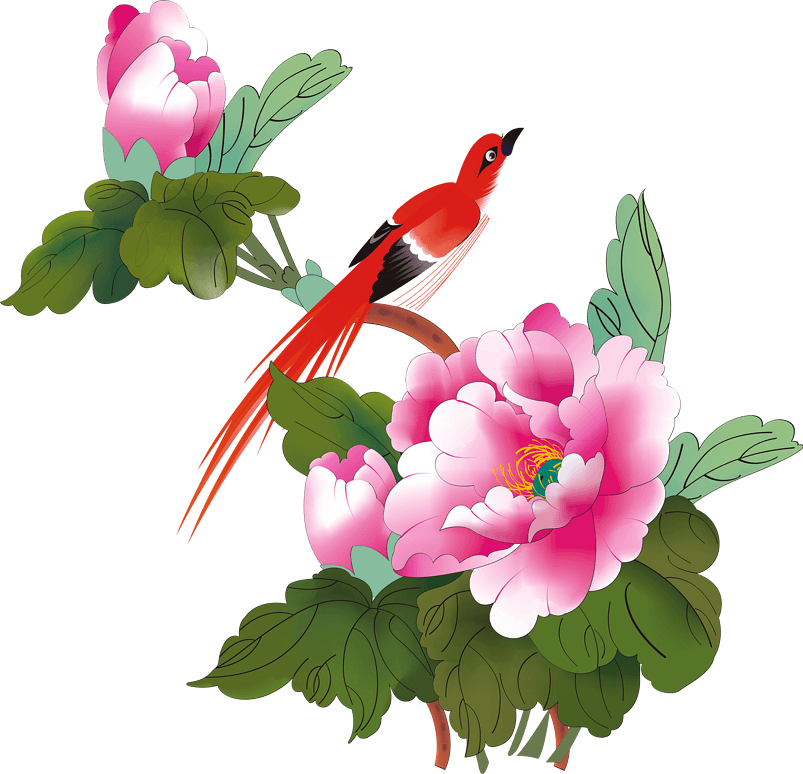 中国风花鸟背景素材png