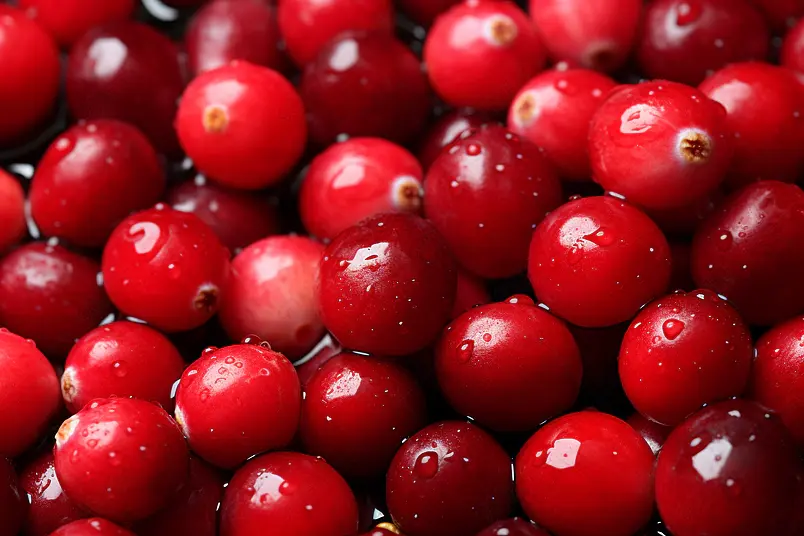 美味的蔓越莓食物