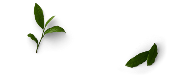 植物元素