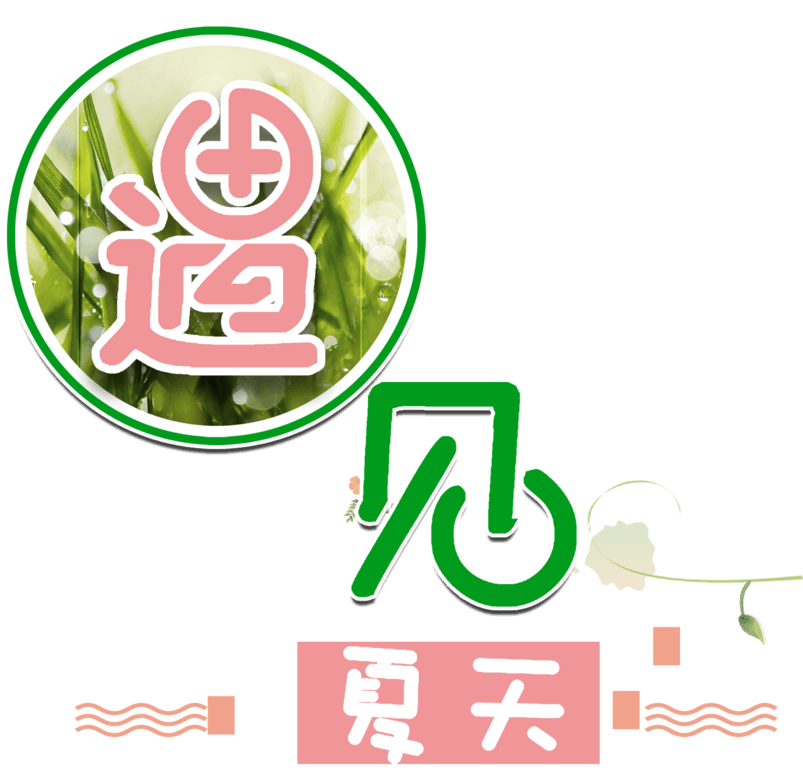 遇见夏天