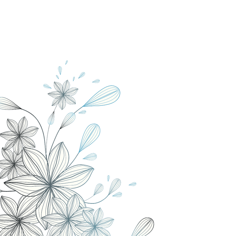 线描花朵边框