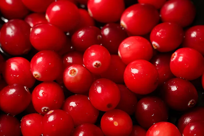 美味的红色蔓越莓