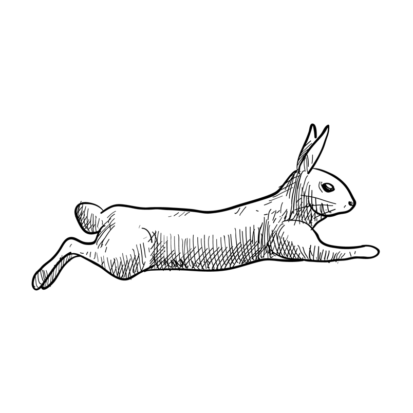 线描奔跑的兔子