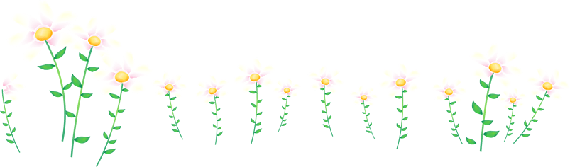 花朵花边