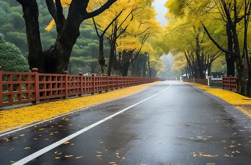 道路公路汽车交通设计
