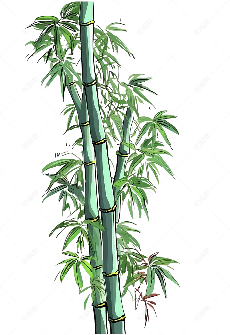 竹子画图片大全_竹子画图片素材【PNG免费下载】-90设计网