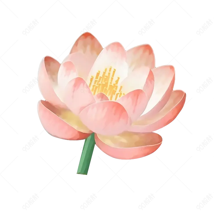 中国风手绘粉色盛开荷花元素