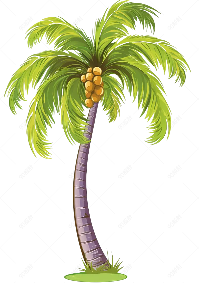 景观植物绿色植物棕榈
