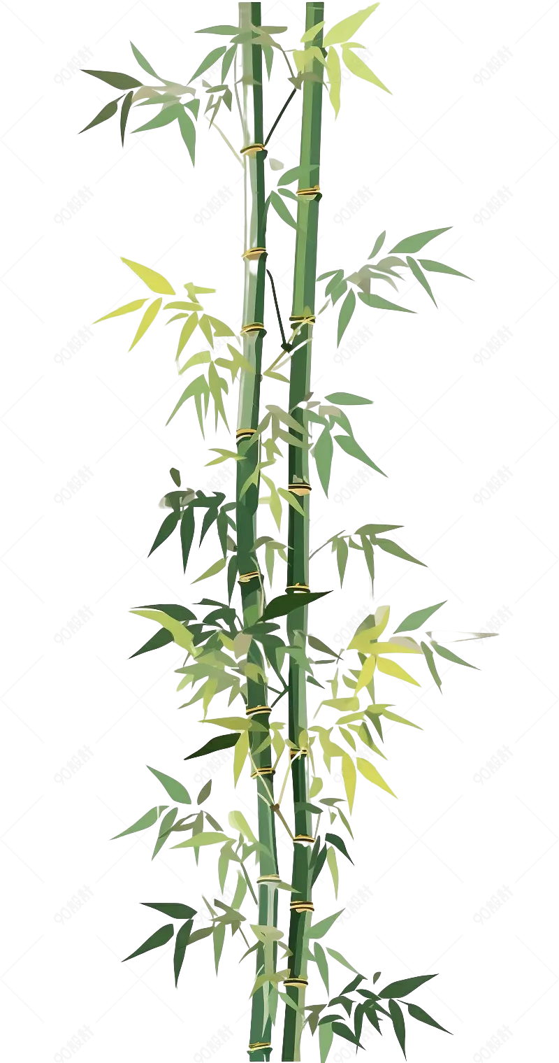 竹子画图片大全_竹子画图片素材【PNG免费下载】-90设计网
