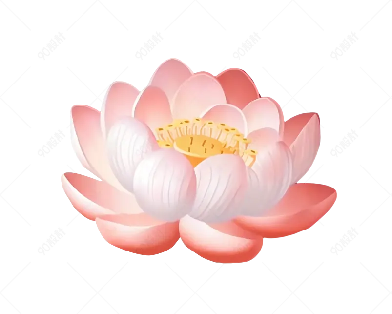 粉色盛开荷花中国风手绘元素