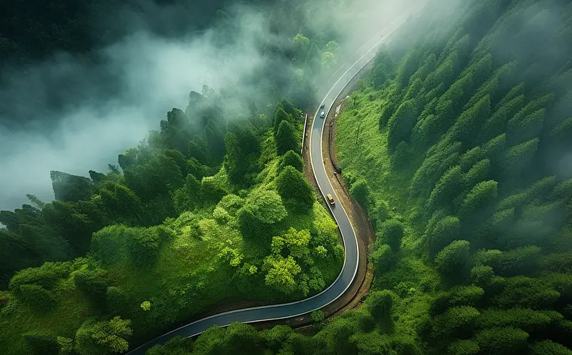 山路朦胧