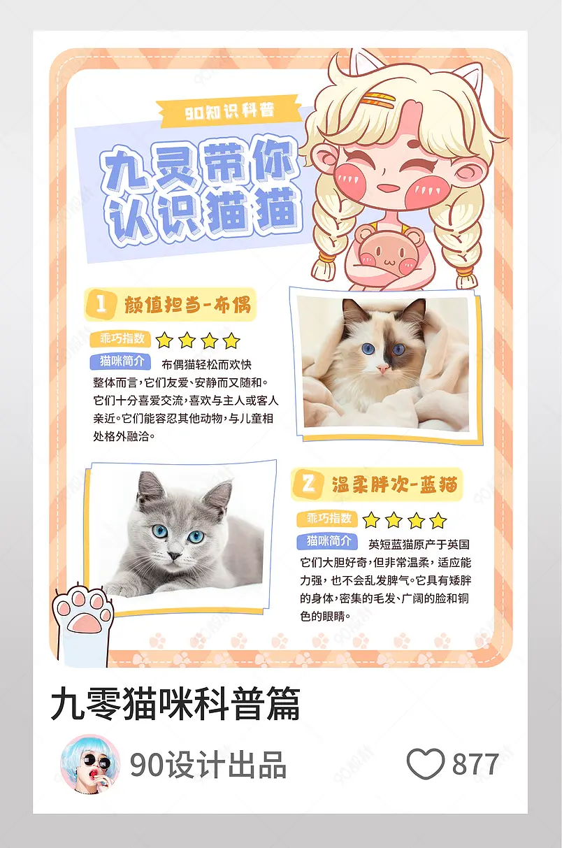 小红书九零猫咪科普篇认识猫咪文字排版