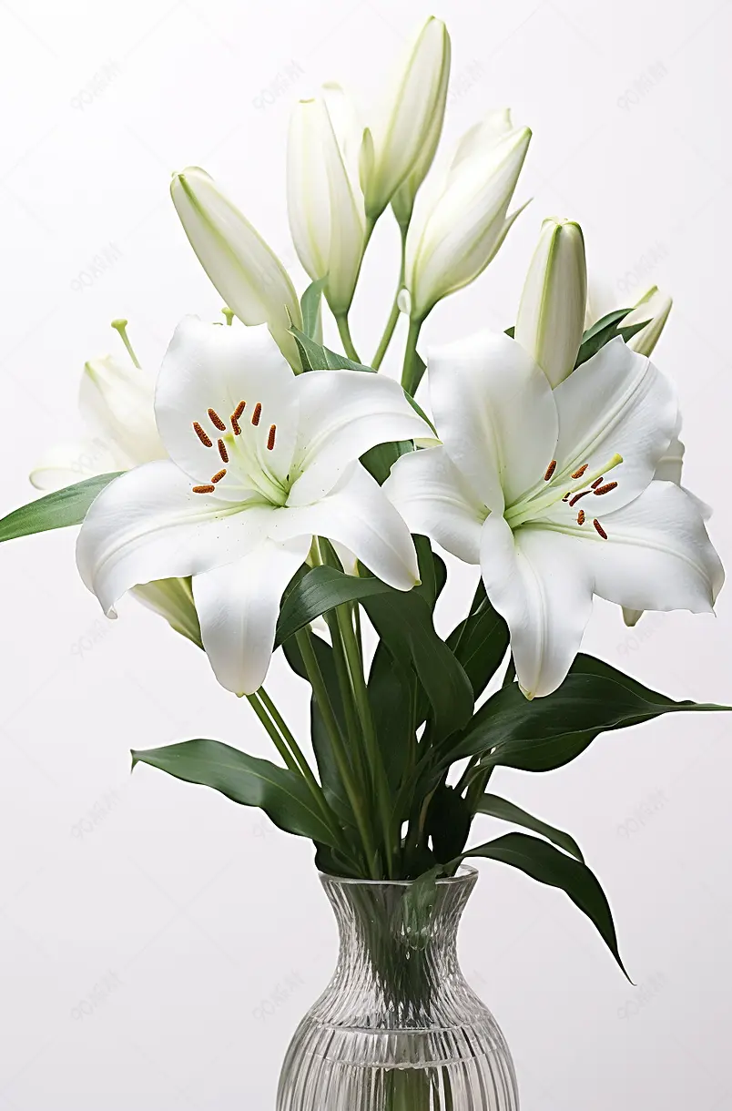 百合花
