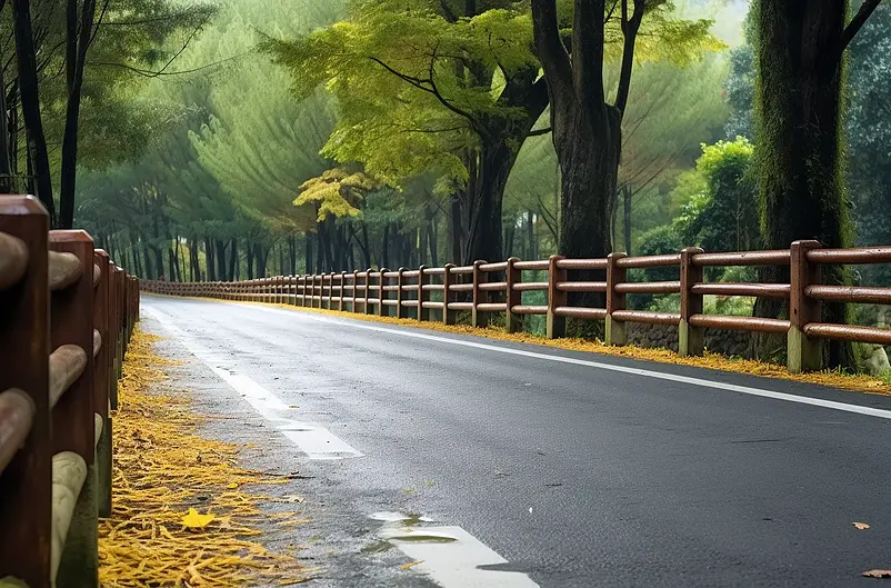 道路公路汽车交通设计