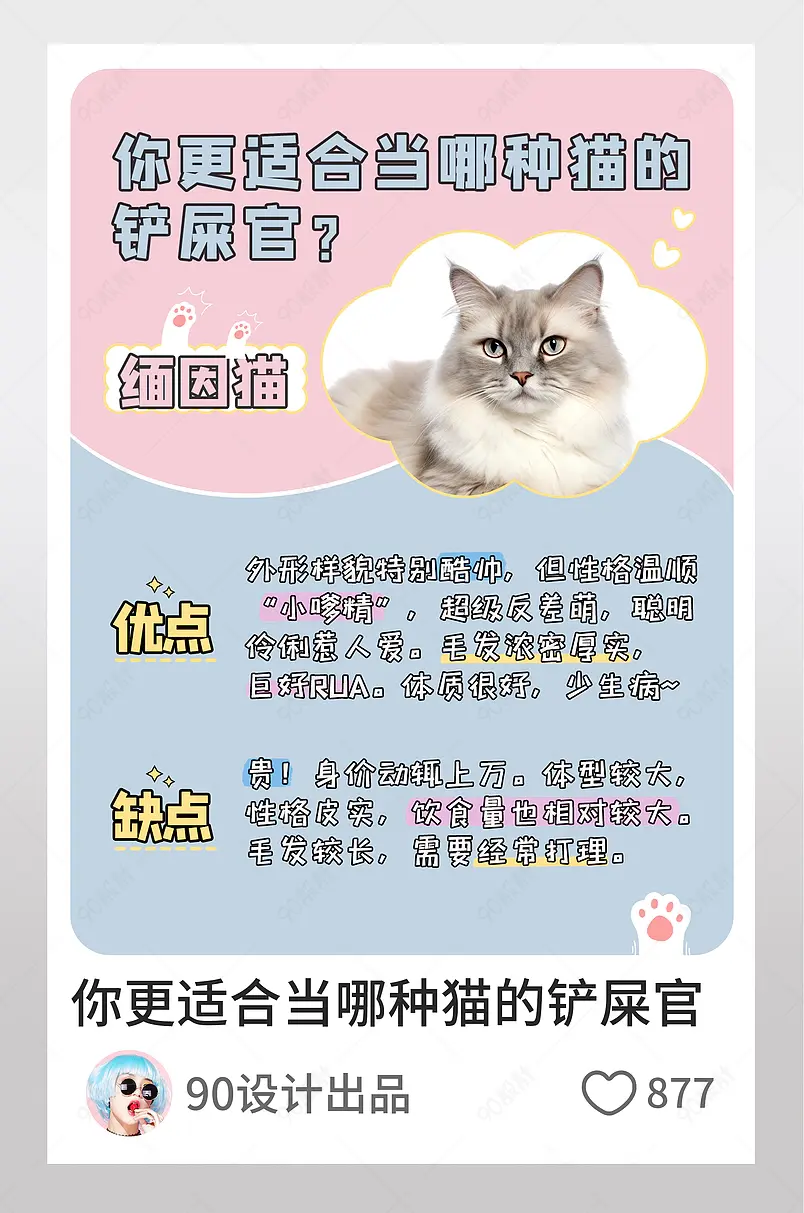 小红书你适合领养什么样的宠物图文封面