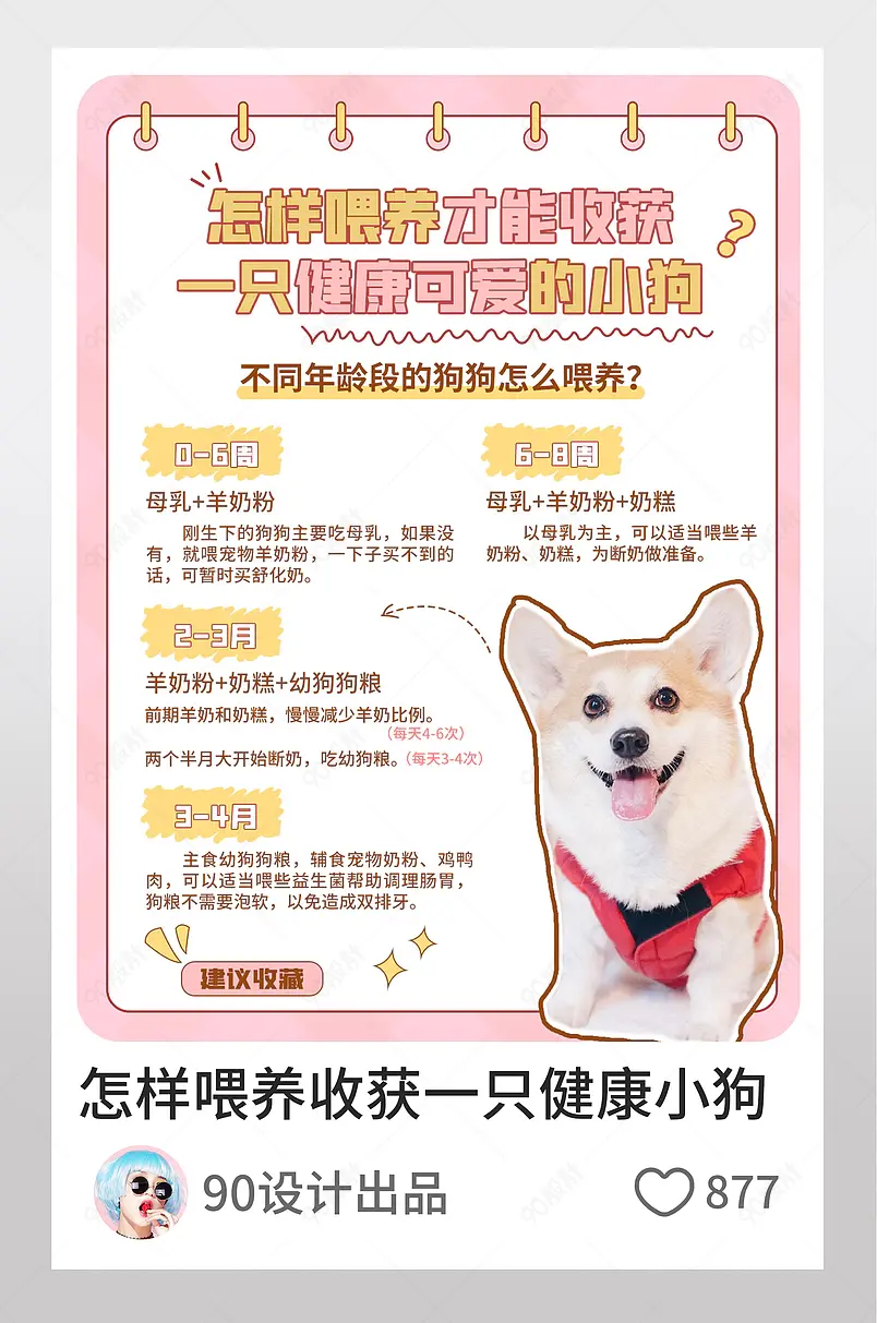 小红书如何喂养一只健康可爱的狗狗图文封面