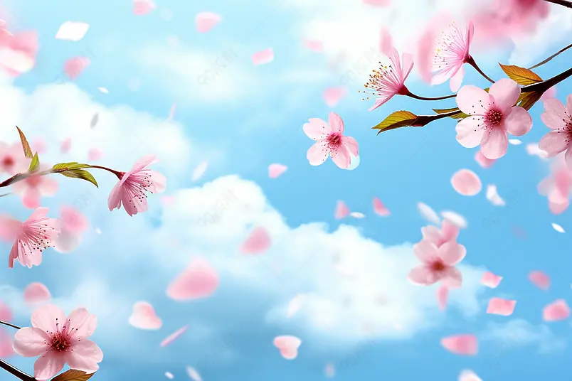 春天桃花花瓣花朵飘洒背景
