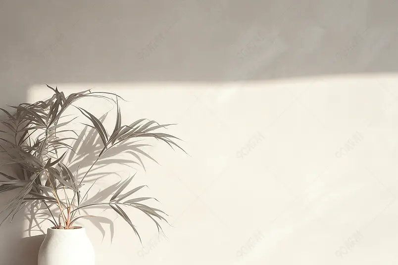 夏日树荫