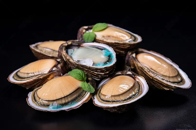 在摄影棚里拍摄着海鲜类背景图