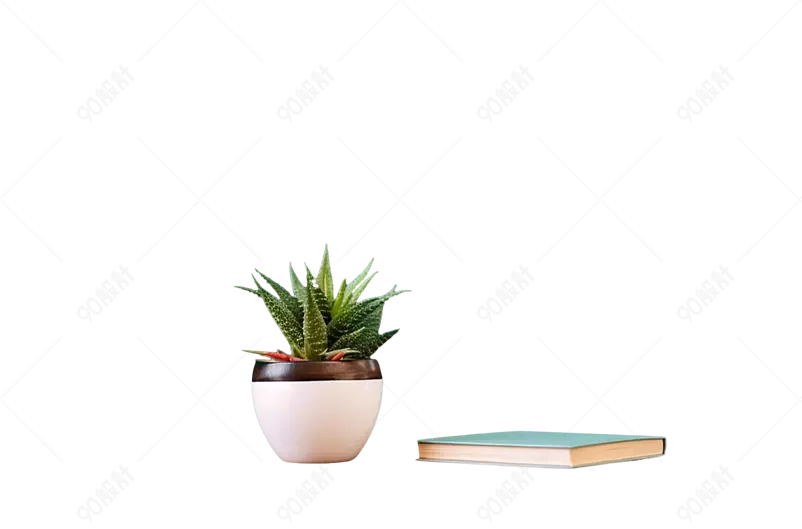 白色盆芦荟桌面绿植一本书