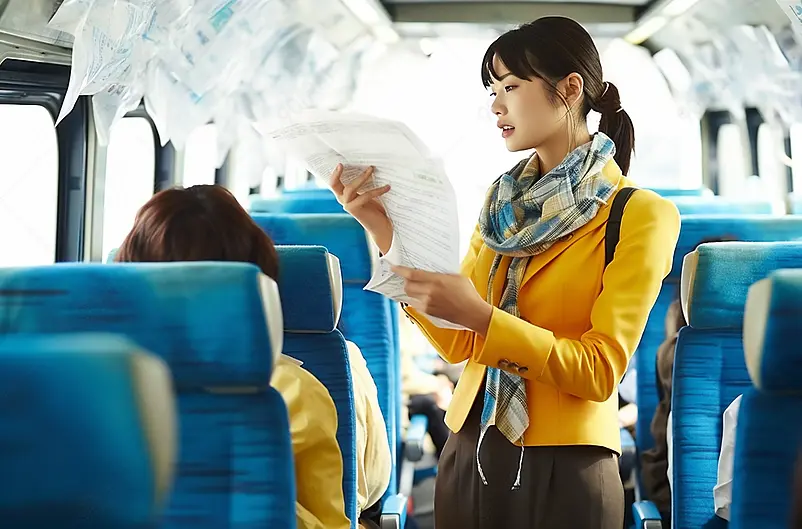 女性,女,女人