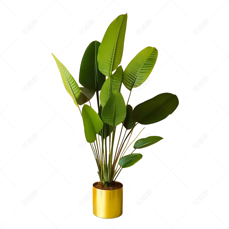 实拍绿色室内植物黄色花盆元素