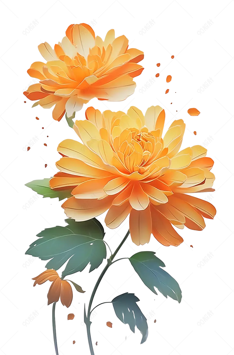 手绘黄色的菊花节日装饰元素免抠