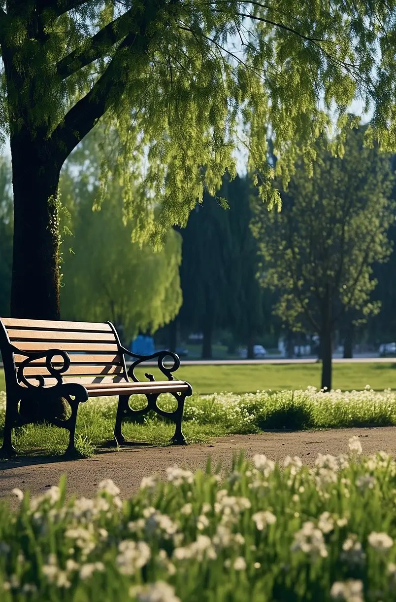 公园内的长椅
