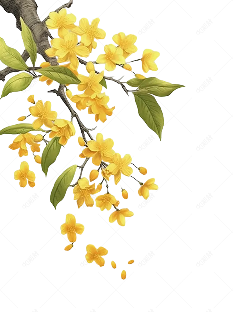 黄色桂花装饰元素设计